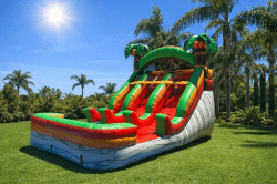 15BB1E28 228D 40EF 920F F5EEC0C22E91 1772384007 Tropical coconuts Double slide 20LX12WX13H