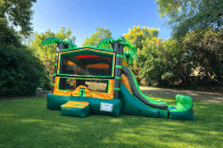 IMG 4819 1772520909 MINI TROPICAL SLIDE 13WX13HX22L