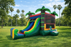 IMG 4830 1772384495 Tropical combo double slide 13HX13WX25L