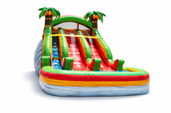 Tropical coconuts Double slide 20LX12WX13H
