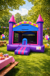 IMG 4860 1772431675 CLASSIC PINK CASTLE 13HX13WX15L